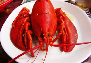 how-to-steam-lobster-1